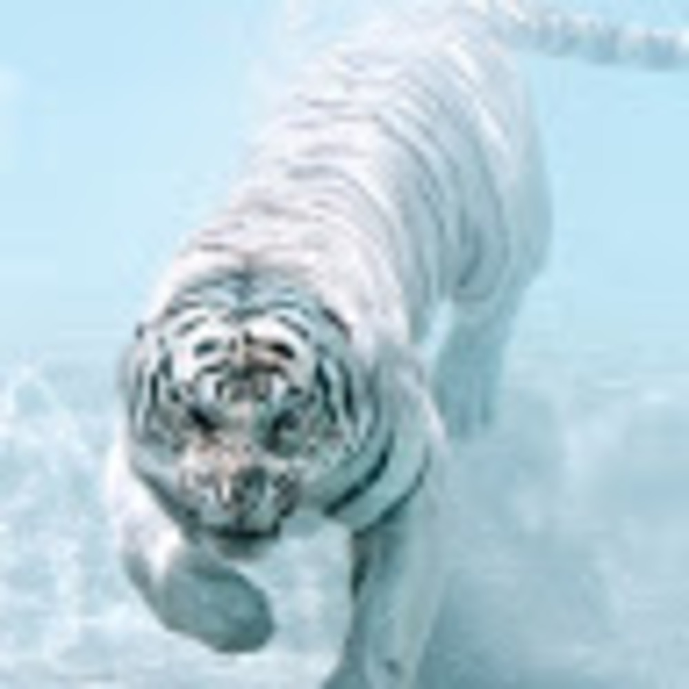 Meet your Posher, Caleb